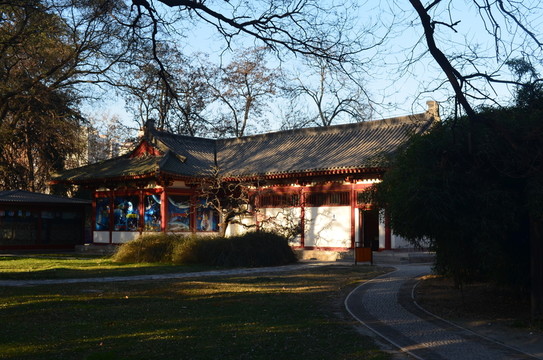 興慶宮園景