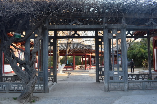 興慶宮園景
