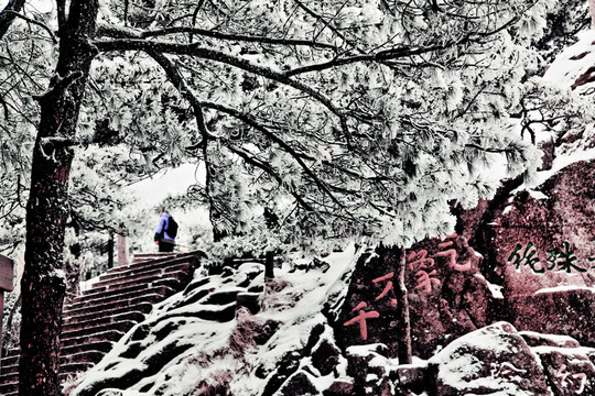 黃山風(fēng)光 冬雪 冬景