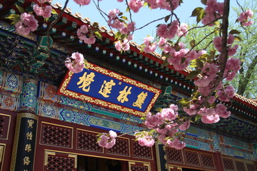 北京植物園雙林遂境