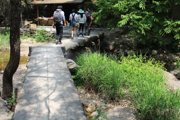 山間小橋