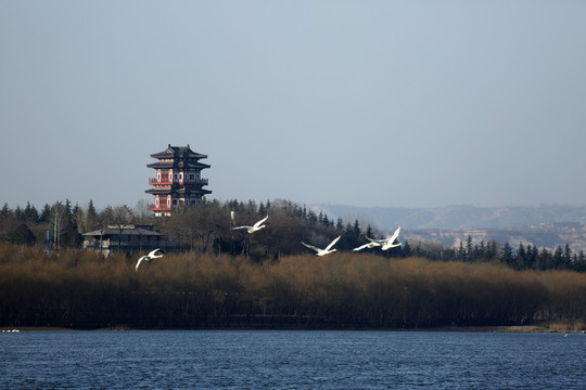 天鵝湖風(fēng)光