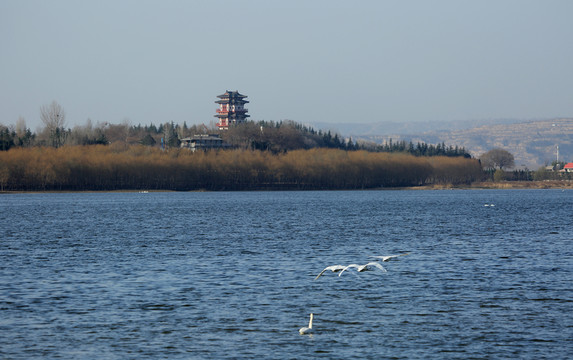 天鵝湖風(fēng)光