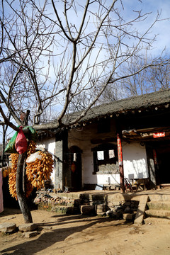 農(nóng)家院