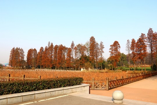 磨山風(fēng)景