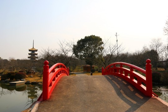 櫻花園風(fēng)景