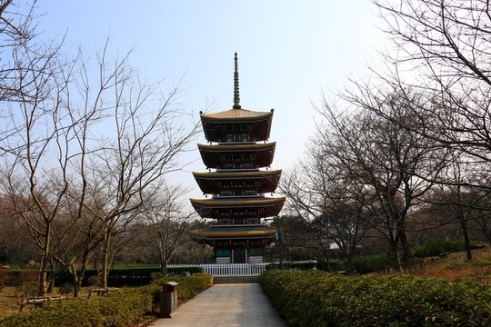 櫻花園風(fēng)景