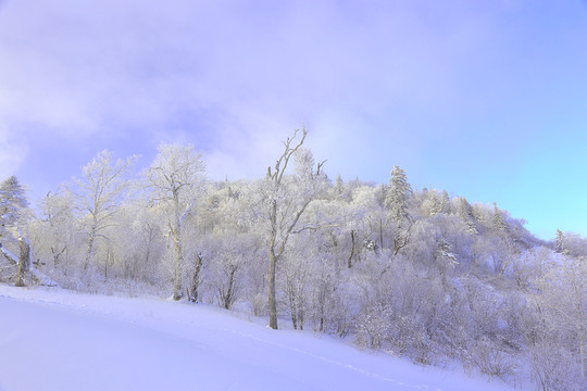 冰雪旅游
