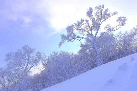 冰雪旅游