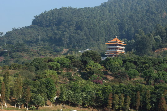 森林公園