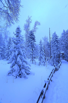 冰雪旅游