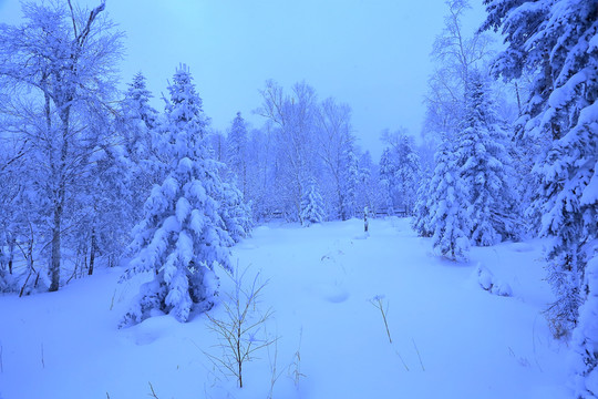 冰雪旅游