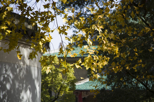 岳麓書院