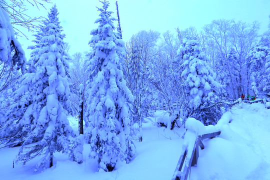 冰雪旅游