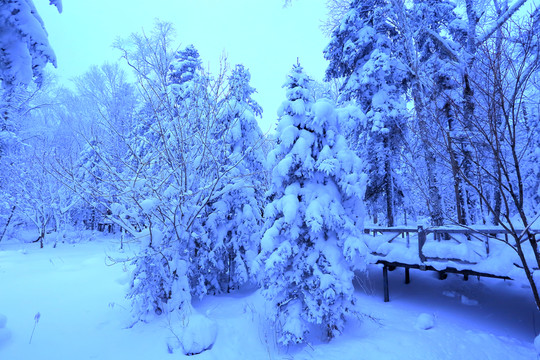 冰雪旅游