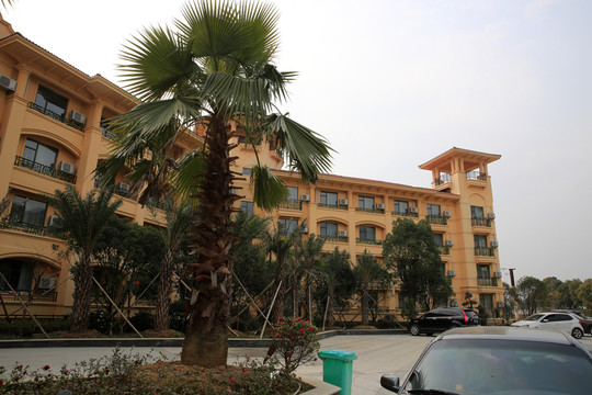 小區(qū) 小轎車 小區(qū)花園 小區(qū)景