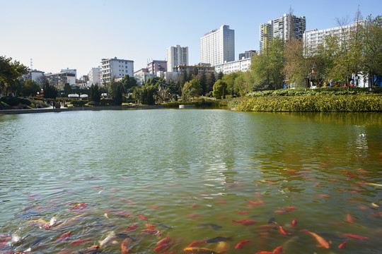 公園景觀