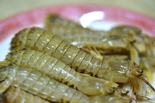 蝦爬子