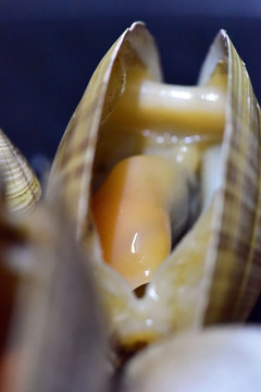 黃蜆子