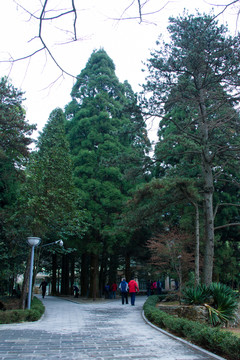 廬山風(fēng)光