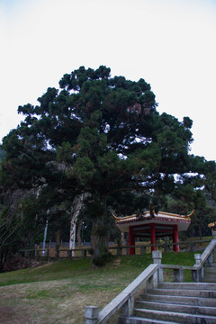 廬山風(fēng)光