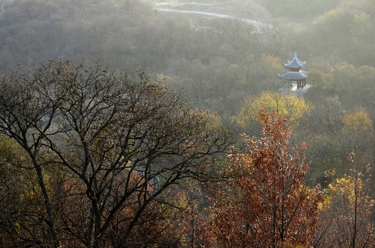 滁州豐樂亭景區(qū)日出