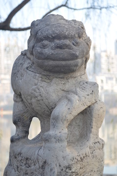 形態(tài)各異的小石獅子