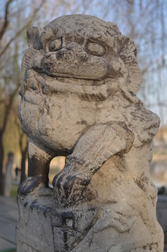 形態(tài)各異的小石獅子