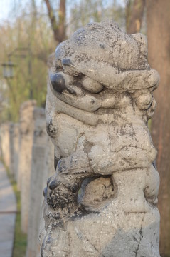 形態(tài)各異的小石獅子
