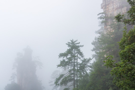 張家界云霧山林景觀