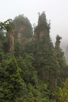 張家界山林奇觀