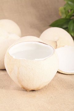 椰子