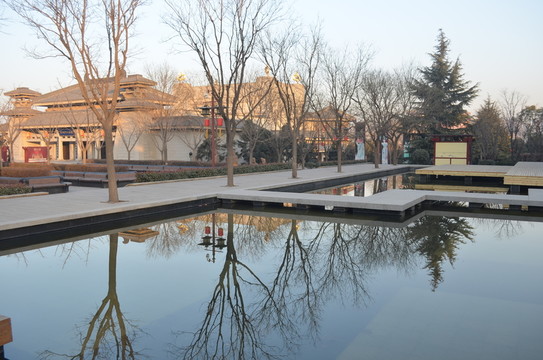 觀景池畔鏡像