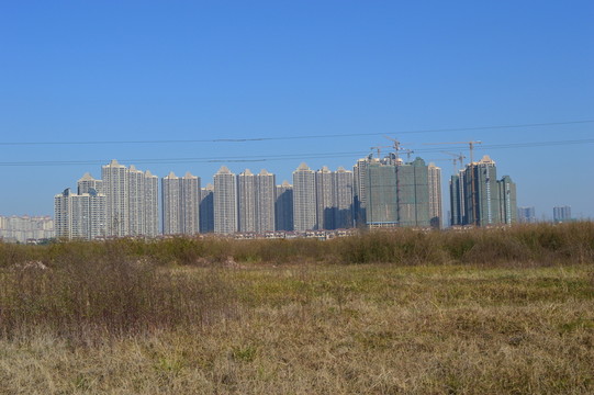 高樓荒地