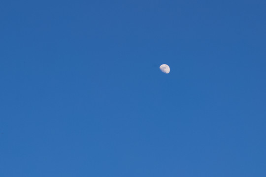 白天的月亮