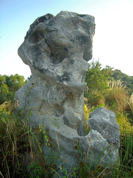 珠海石博園山石