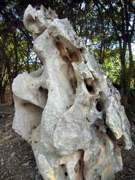 珠海石博園山石