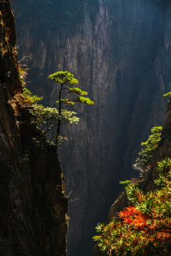 黃山西海大峽谷風(fēng)光