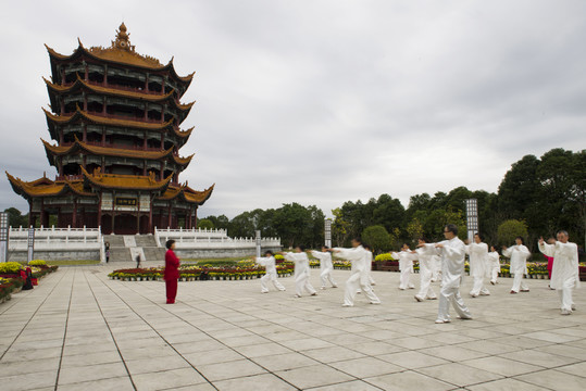 老人與太極拳