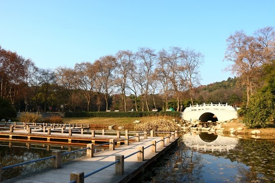 磨山風(fēng)景
