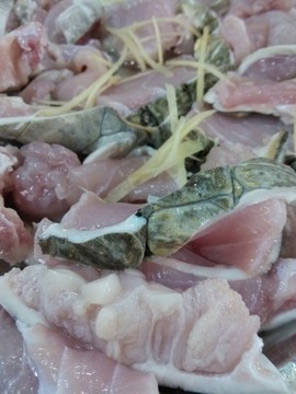 姜絲新鮮鱷魚肉
