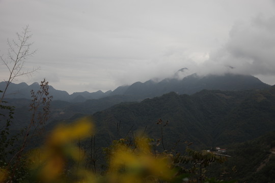 塔云山