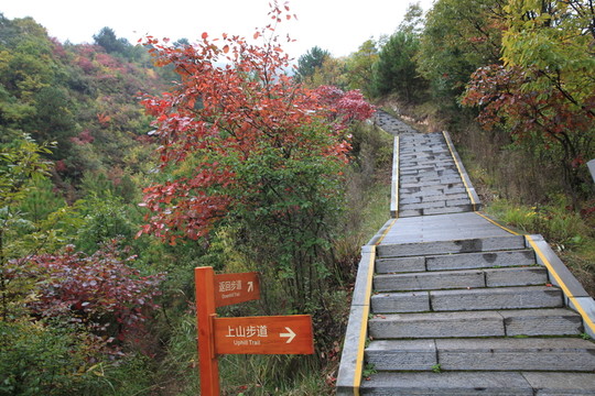 塔云山