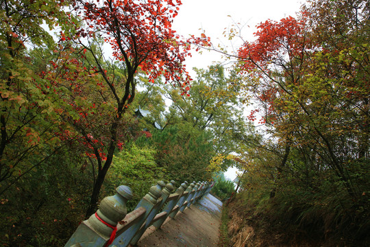 塔云山