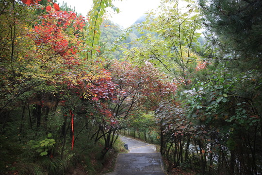 塔云山
