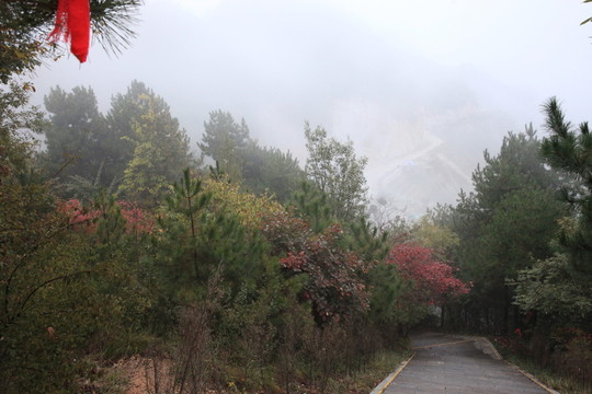 塔云山