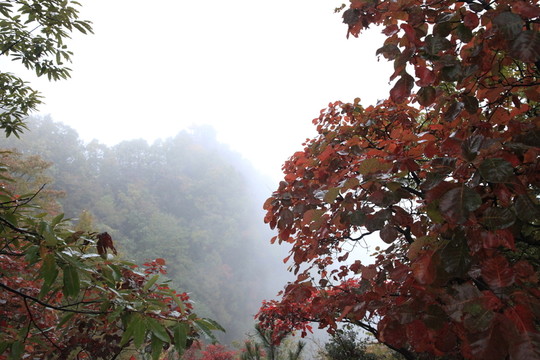 塔云山