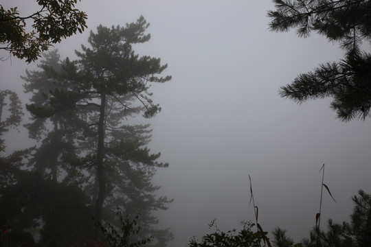 塔云山