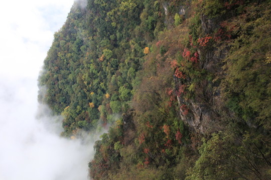 塔云山