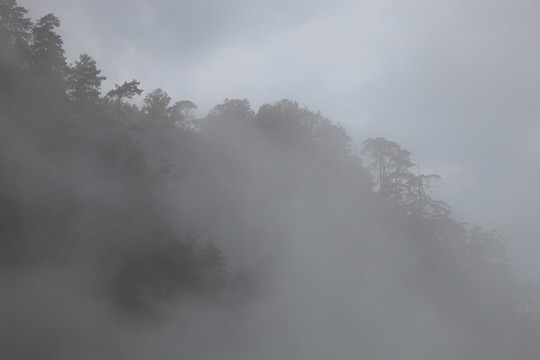 塔云山